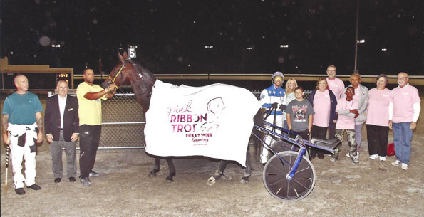 Pink Ribbon Trot 2016 - 2